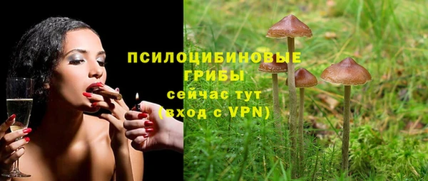 амф Алзамай