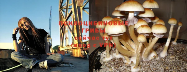 соль ск Алексеевка