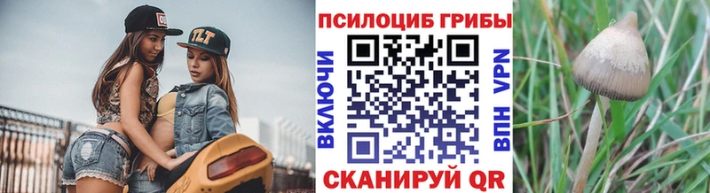 Псилоцибиновые грибы GOLDEN TEACHER  где продают   Выкса 